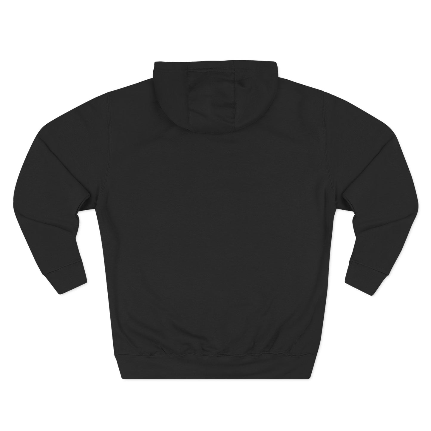 Three-Panel Fleece Hoodie - Ignite the Future