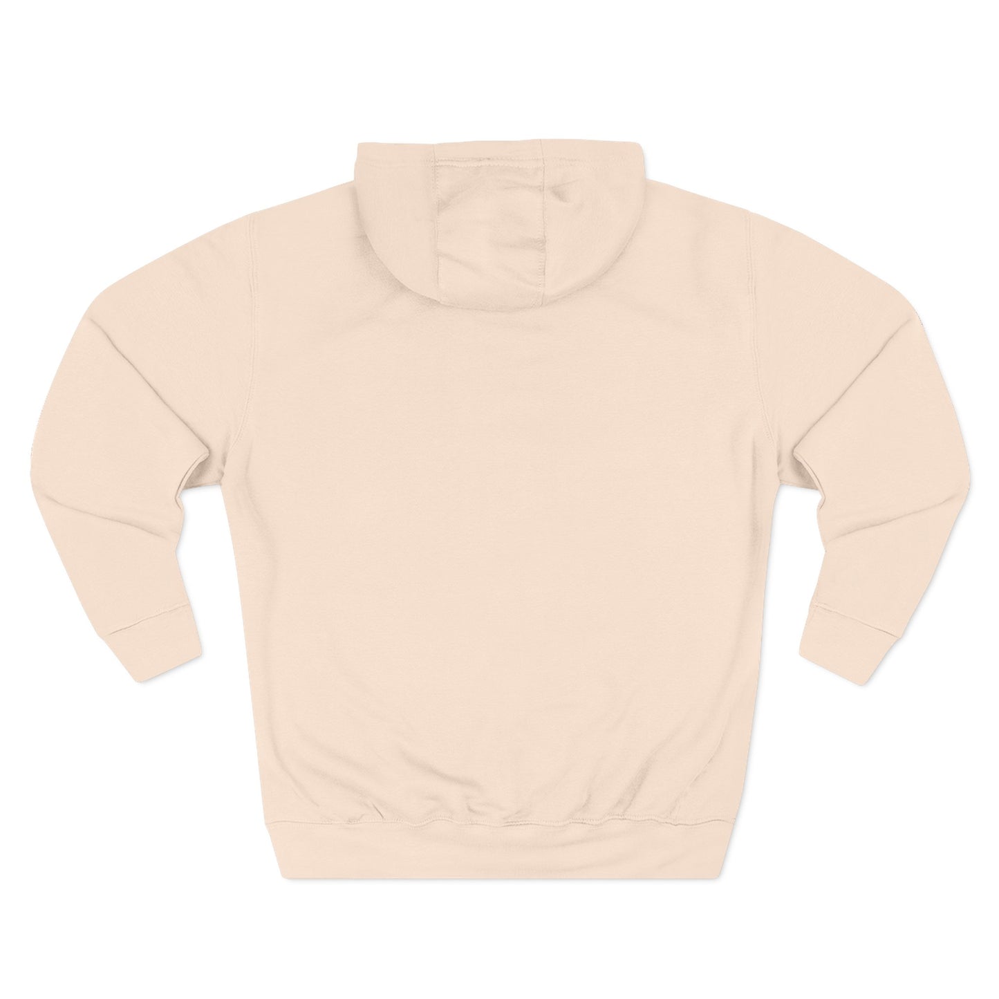 Three-Panel Fleece Hoodie - Ignite the Future