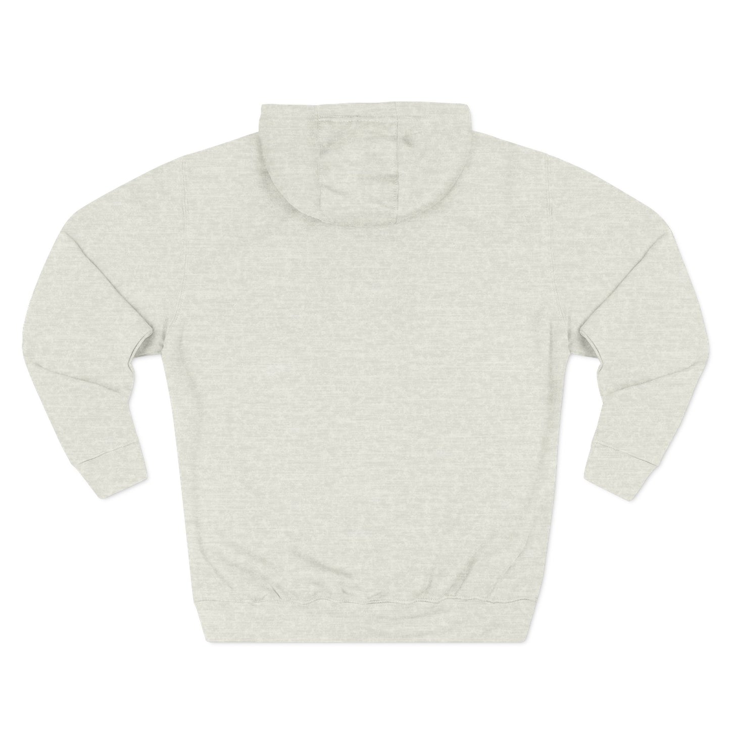 Three-Panel Fleece Hoodie - Ignite the Future