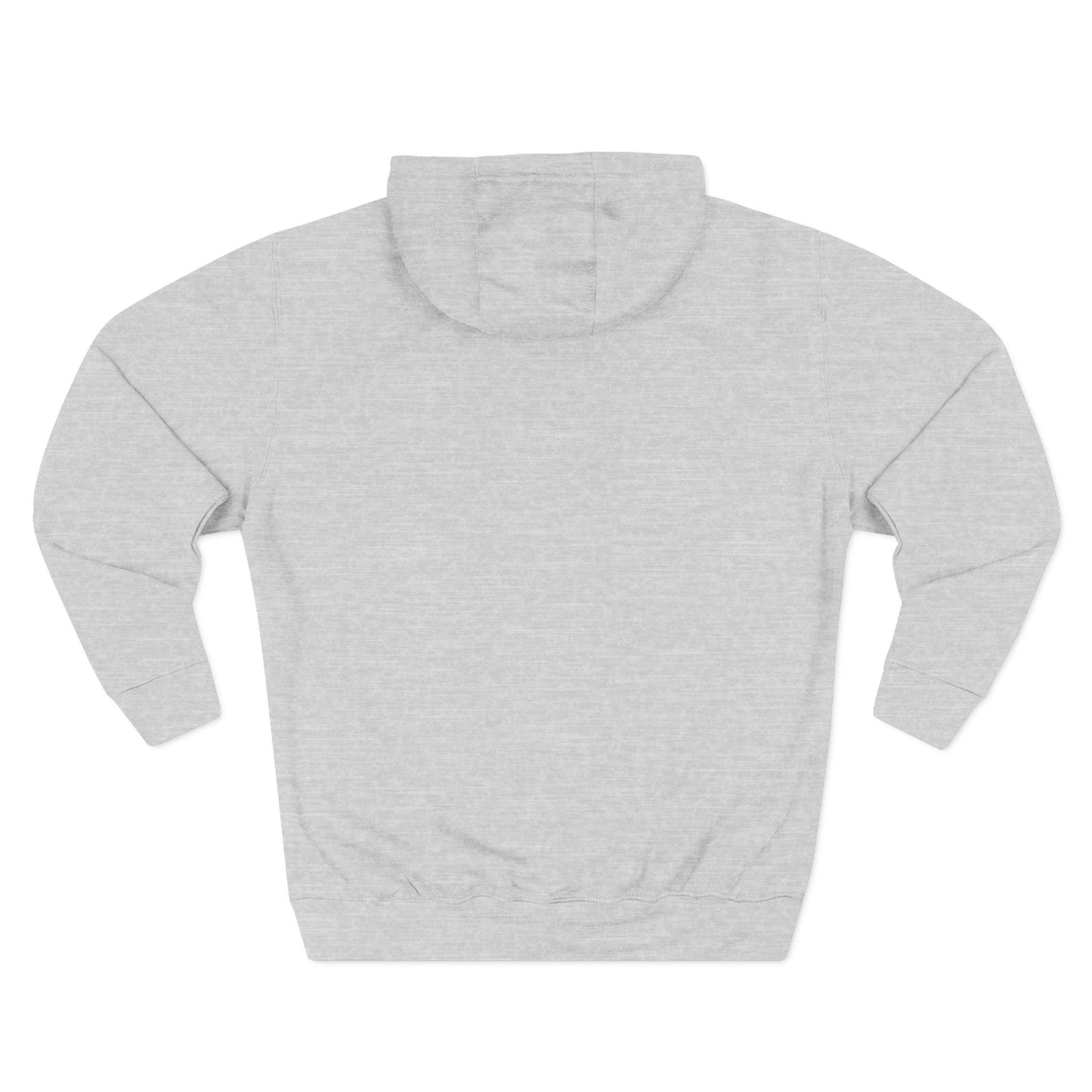 Three-Panel Fleece Hoodie - Ignite the Future